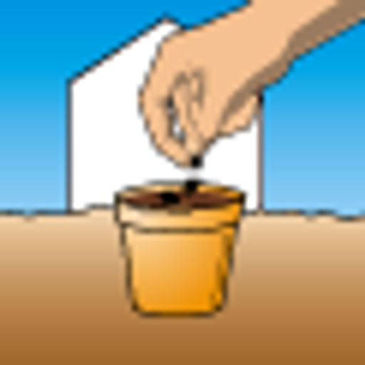 Цинния Эльдорадо - Аэлита фото 2