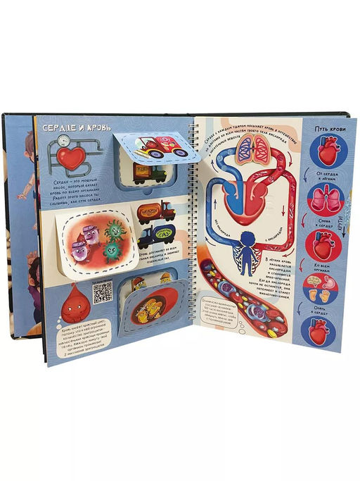 Интерактивная энциклопедия. Знакомься: твое тело - BimBiMon фото 7