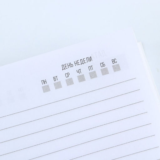 Ежедневник в мягкой обложке А5, 80 л, в подарочной коробке Мужик 100% - Artfox фото 19