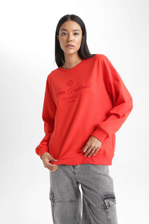 Тонкий свитшот Relax Fit с круглым вырезом - Defacto фото 4