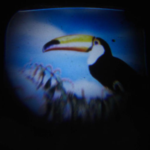 Проектор-фонарик с животными Смешарики, батарейки в набор не входят  фото 7