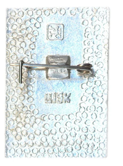 Значок Общество охраны памятников истории и культуры РСФСР