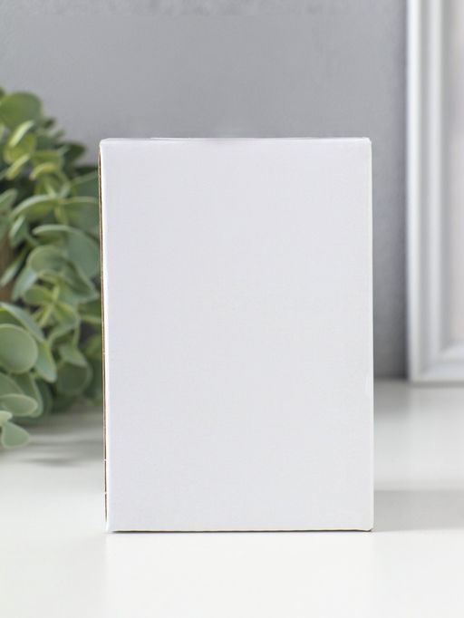 Набор фигурок 2 шт. полистоун «Зайчики-малыши нарядные», 5.5×3×9.5 см