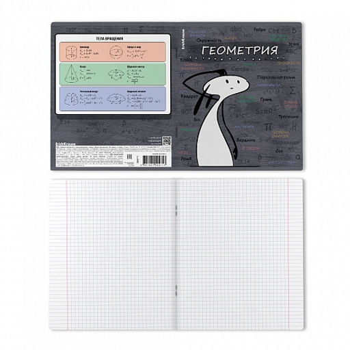 Цена за 5 шт. Тетрадь общая ученическая с пластиковой обложкой на скобе ErichKrause Чубрик, Геометрия, 48 листов, клетка  фото 2
