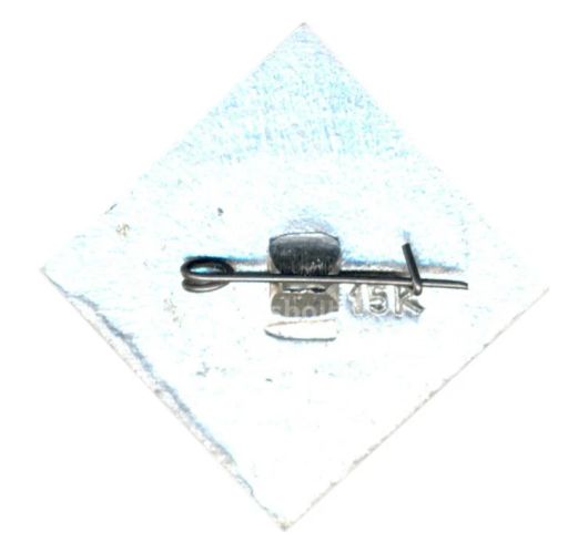 Значок Трубка Разина