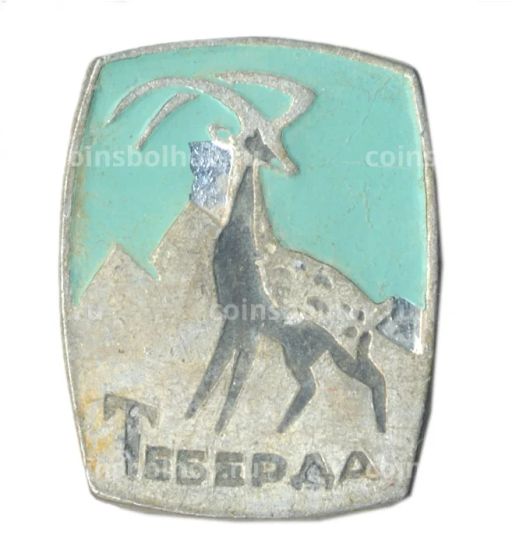 Значок Теберда