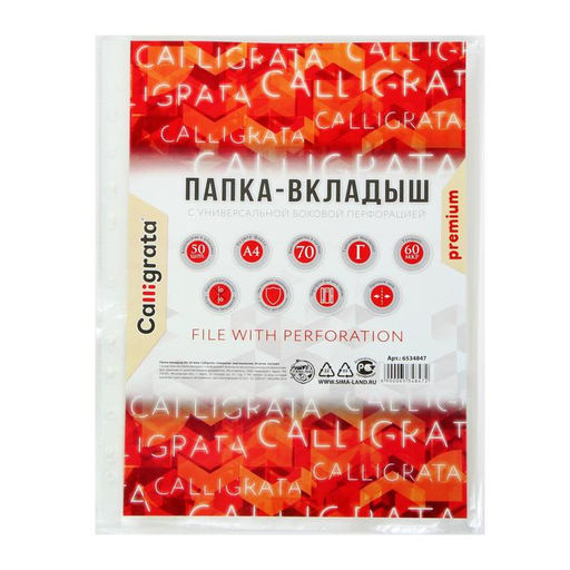 Файл-вкладыш А4, 60 мкм, Calligrata, плотные, глянцевый, вертикальный, 50 штук фото 3