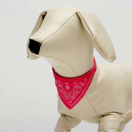 Ошейник с косынкой 32 х 1 см, ОШ 22-28, розовый - Пижон фото 4