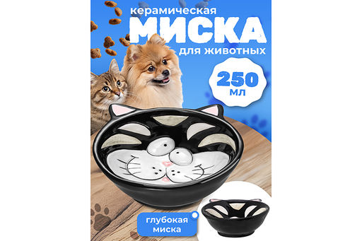 Миска для домашних питомцев 250 мл 15*13*4,5 см Котик, черный, керамика