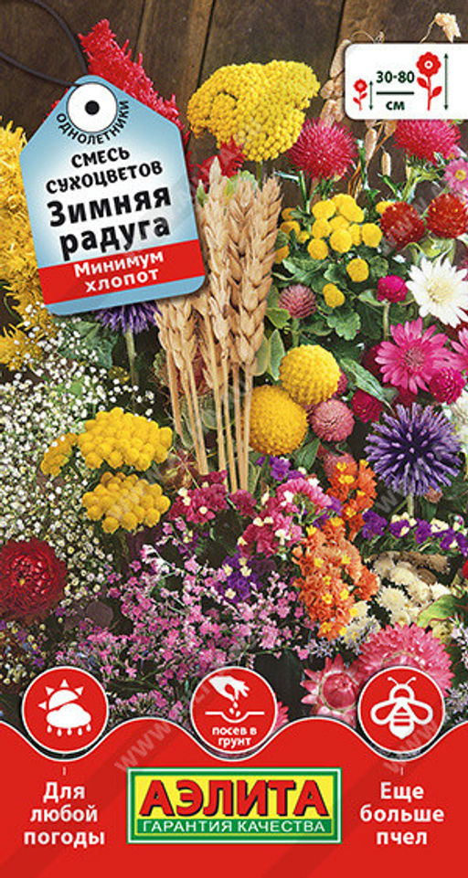 1798A Смесь сухоцветов Зимняя радуга 1гр