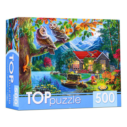 Пазлы 500 "Ночной пейзаж и совы"