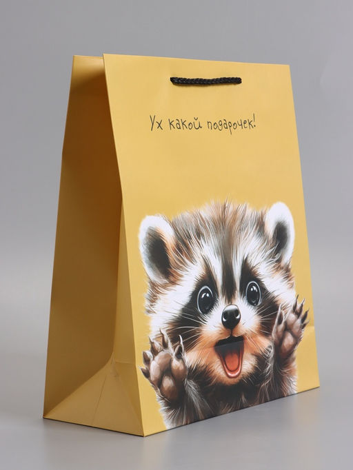 Пакет подарочный ламинированный «Ух! Какой подарочек!», 26×12×32 см