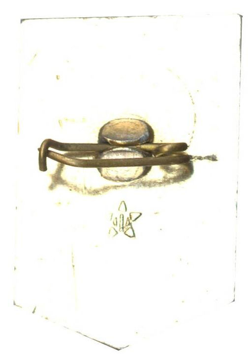 Значок Ударник коммунистического труда