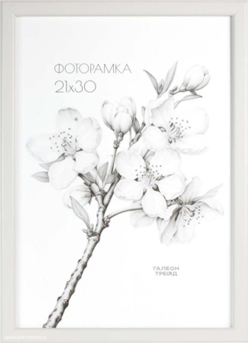 Фоторамка 21х30 с акриловым стеклом / 1503-015 /уп10 ф