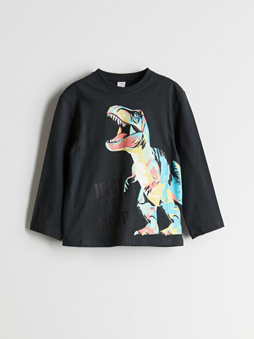 Bisiklet Yaka Dinozor Bask?l? Erkek ?ocuk Ti??rt