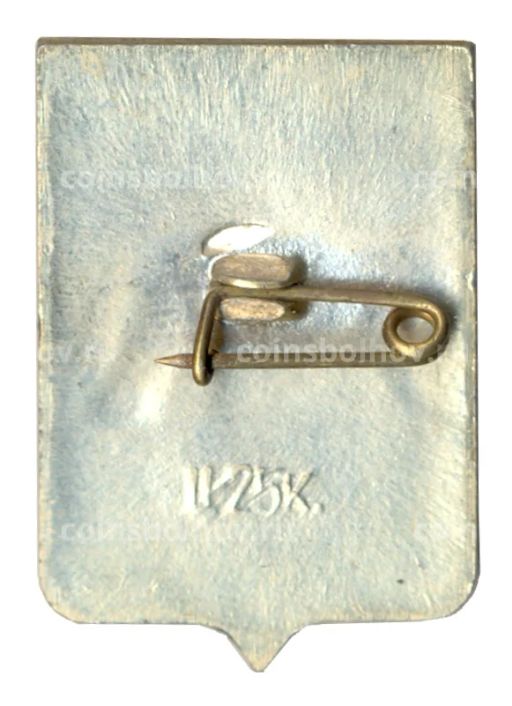 Значок Старая Русса