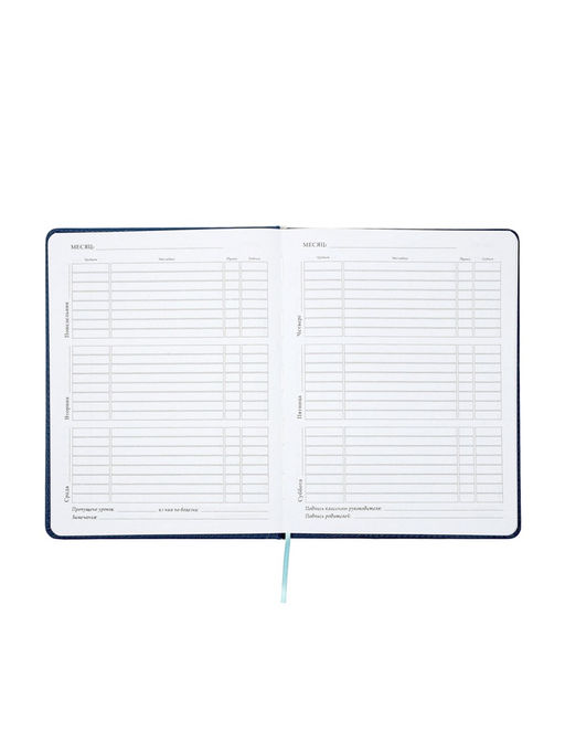 Дневник школьный «Рыцарь» 1-11 класс, ляссе, обложка искусственная кожа, синий