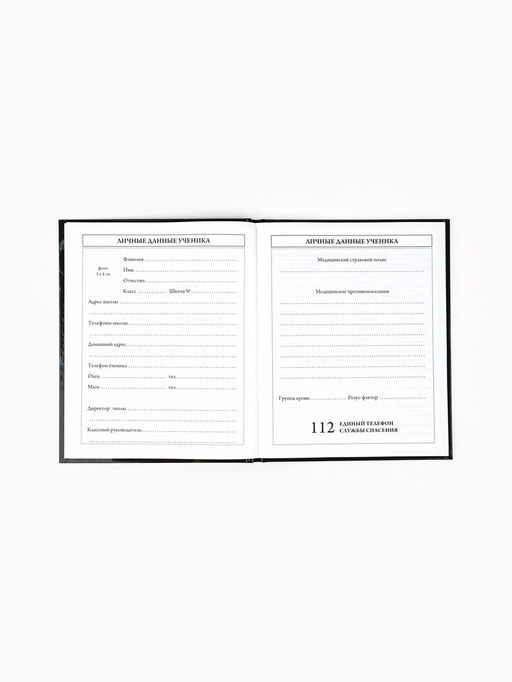 Дневник школьный 1-4 класса, в твердой обложке, 48 л Аниме комикс - Artfox study фото 4