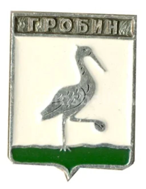 Значок Гробин