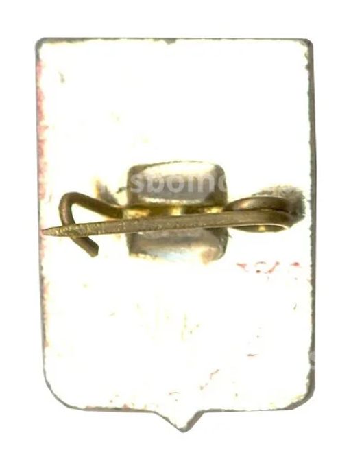 Значок Александров