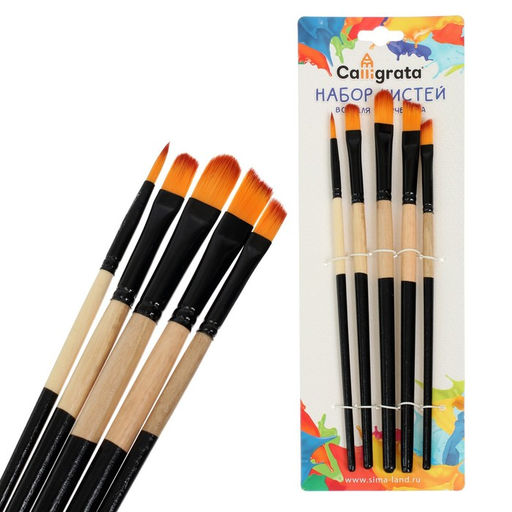 Набор кистей для рисования, нейлон, 5 штук: № 2, 4, 10, 12, 6, круглые, плоские, международный размер