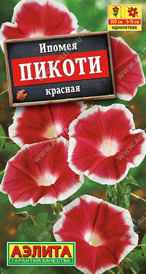 1456A Ипомея Пикоти красная 4шт