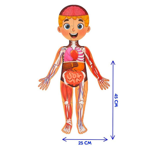 Набор Моё тело: мегапазл с обучающей книгой - Буква-ленд фото 2