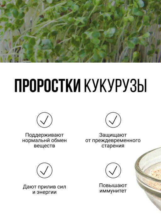 Смесь из ПЯТИ видов проростков БЕЗ ГЛЮТЕНА 150г (зеленая гречка, чечевица, нут, кукуруза, фасоль) (5