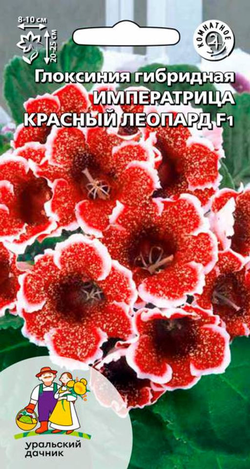 Глоксиния императрица КРАСНЫЙ ЛЕОПАРД