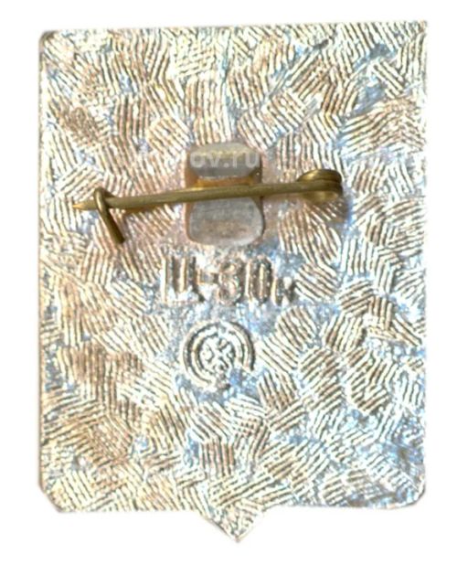 Значок Новосибирск