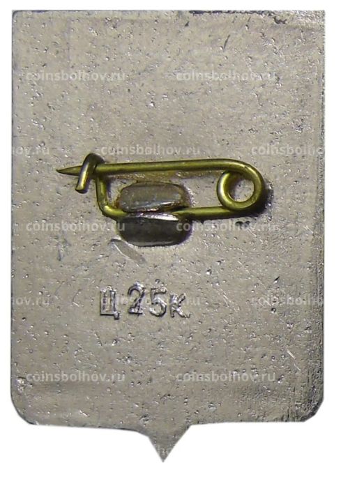 Значок Старая Русса