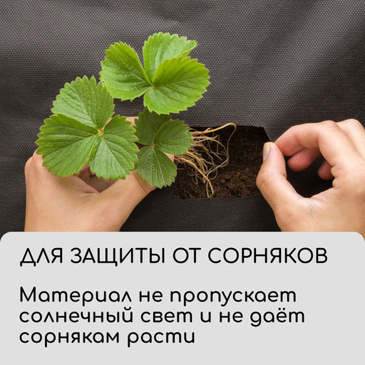 Материал для ландшафтных работ, 20×1.6 м, плотность 120 г/м², спанбонд с УФ-стабилизатором, чёрный, Greengo, Эконом 30%