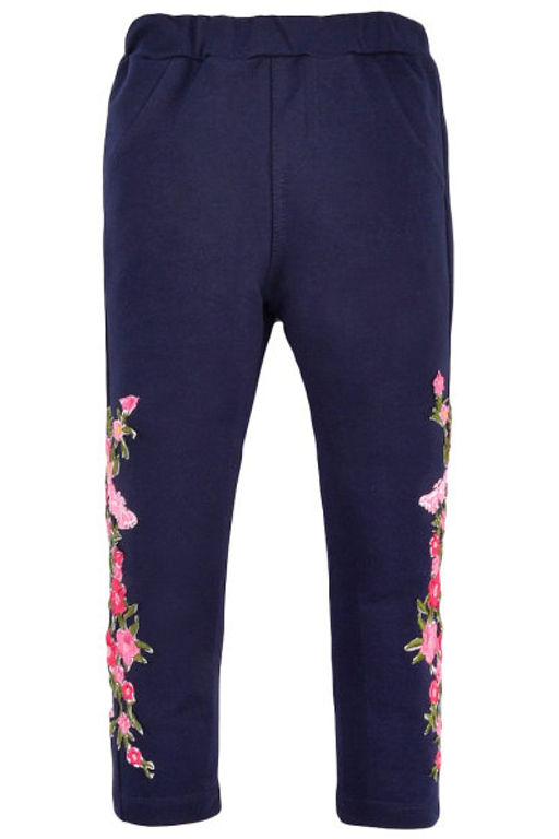 BK1143В.С1 Лосины для девочки