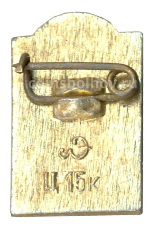 Значок Петродворец