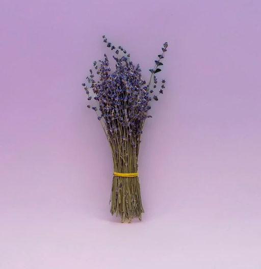 Лаванда, пучок 50г обработанный, h 25-35см