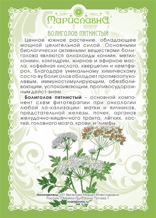 Болиголов пятнистый (трава)