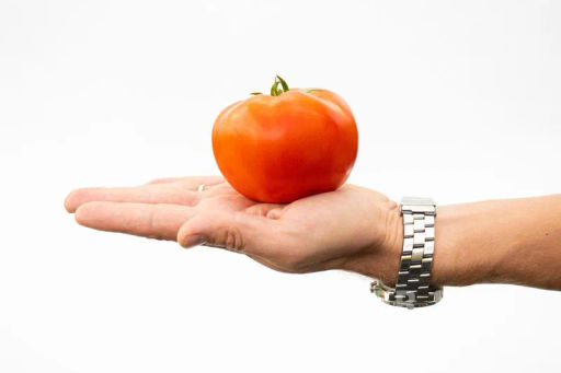 Томат Мадам Помпадур - Партнер фото 3