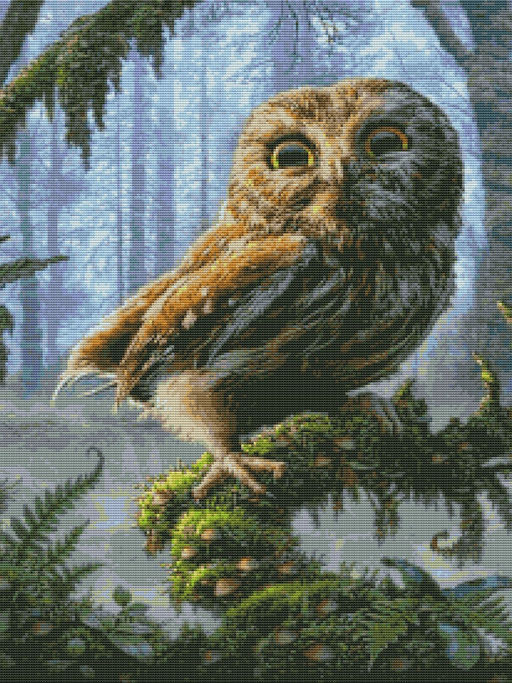 Вышивка крестиком 40х50см, Сова