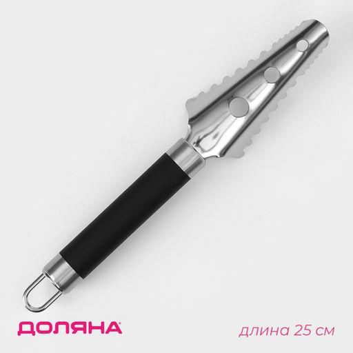 Цена за 3 шт. Рыбочистка Доляна Venus, 25 см, нержавеющая сталь, чёрная