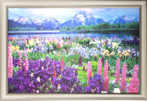 Картина 5D 40х60 094 Полевые цветы / ZR8845B-H39H23 /ф - Галеонтрейд фото 2