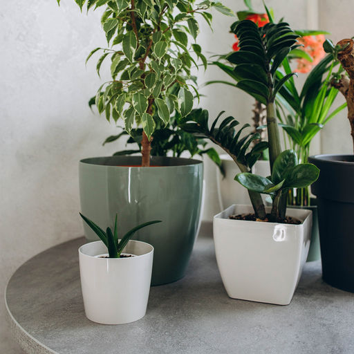 Цена за 3 шт. Кашпо для цветов, d=12.5 см, 1 л, пластик, бежевое