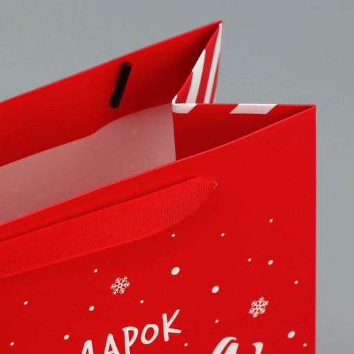 Набор новогодних пакетов «Новогодний подарок»