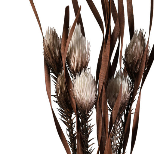 Сухоцвет набор 3 штук 150 см / GF-03 /уп 100/ коричневый - Галеонтрейд фото 3