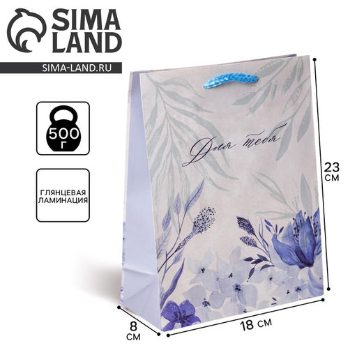 Цена за 2 шт. Пакет подарочный ламинированный, упаковка, For you, MS 18×23×8 см
