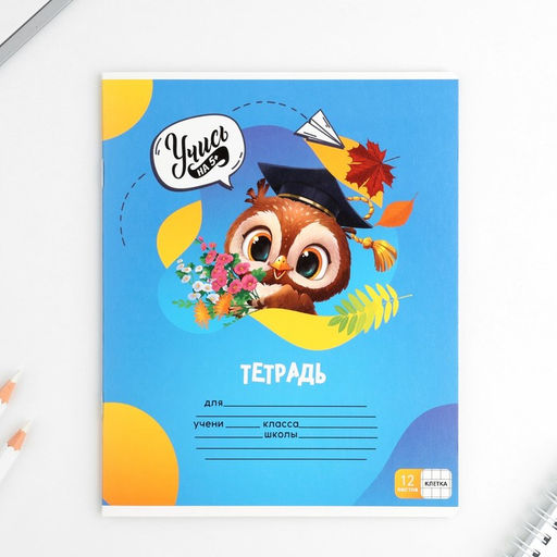 Цена за 20 шт. Тетрадь в клетку, 12 листов, А5, на скрепке, блок №1 «Учись на 5+» МИКС