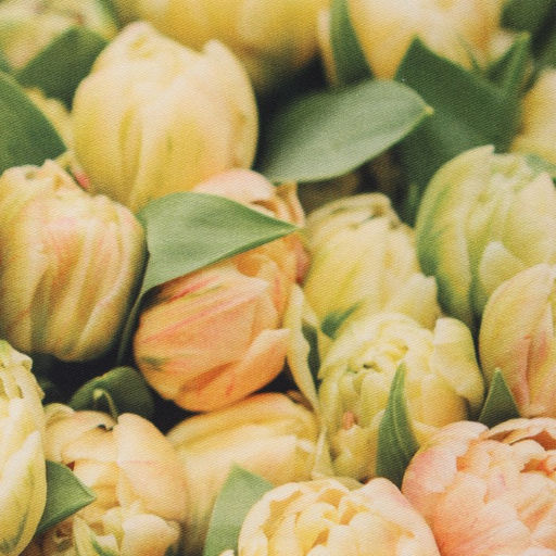 Набор подарочный 8 Марта: полотенце 40?73 см, лопатка