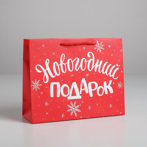 Цена за 2 шт. Пакет подарочный ламинированный «Новогодний подарок», MS 23×18×8 см