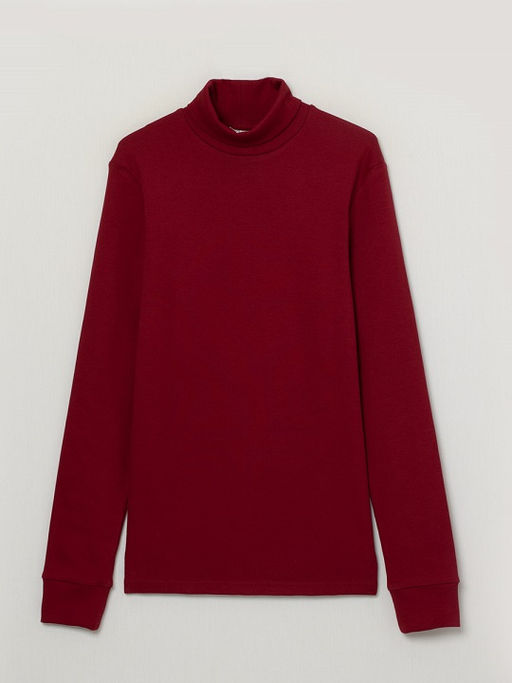 CRB wear/FWSM 60066-32 Водолазка мужская, коричнево-бордовый/Ex.Cherubino