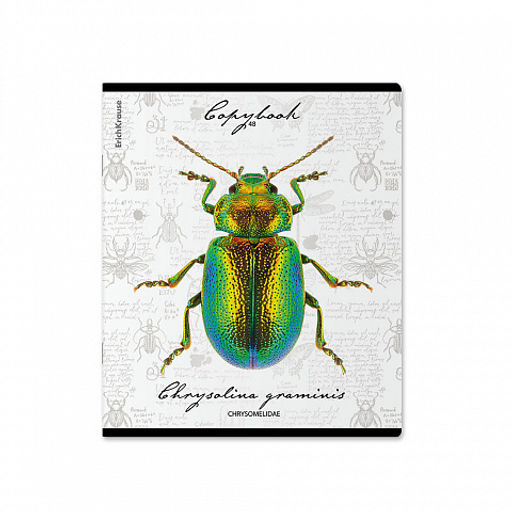 Цена за 5 шт. Тетрадь общая ученическая ErichKrause Жуки, 48 листов, клетка, мат. лам.+выборочный УФ-лак+тиснение фольгой+конгрев, доп.лист_MIX-PACK фото 4