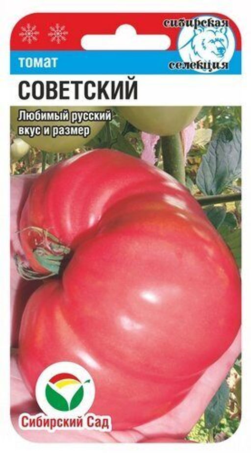 Советский томат 20шт (сс)